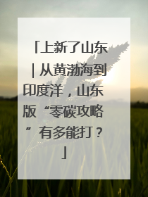 上新了山东｜从黄渤海到印度洋，山东版“零碳攻略”有多能打？