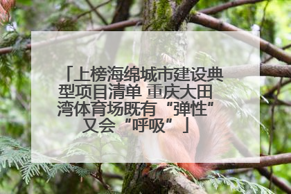 上榜海绵城市建设典型项目清单 重庆大田湾体育场既有“弹性”又会“呼吸”