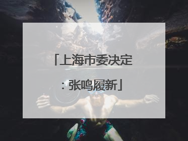 上海市委决定：张鸣履新