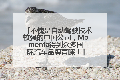 不愧是自动驾驶技术较强的中国公司，Momenta得到众多国际汽车品牌青睐！