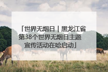 世界无烟日｜黑龙江省第38个世界无烟日主题宣传活动在哈启动