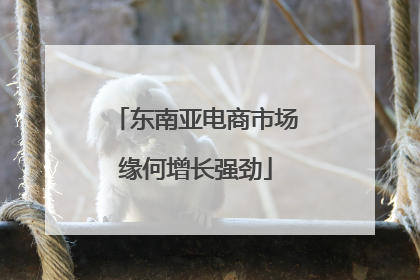 东南亚电商市场缘何增长强劲