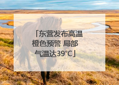 东营发布高温橙色预警 局部气温达39℃