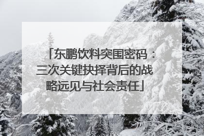 东鹏饮料突围密码：三次关键抉择背后的战略远见与社会责任