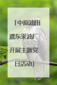 中原油田濮东采油厂开展主题党日活动