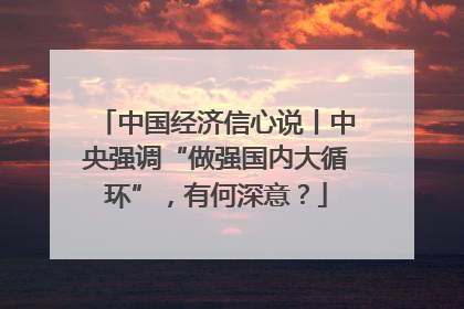 中国经济信心说丨中央强调“做强国内大循环”，有何深意？