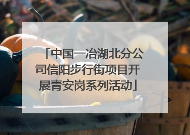 中国一冶湖北分公司信阳步行街项目开展青安岗系列活动