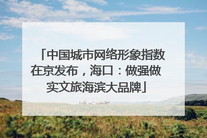 中国城市网络形象指数在京发布，海口：做强做实文旅海滨大品牌
