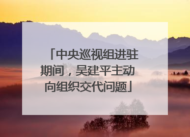 中央巡视组进驻期间，吴建平主动向组织交代问题