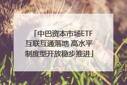中巴资本市场ETF互联互通落地 高水平制度型开放稳步推进