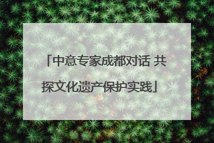 中意专家成都对话 共探文化遗产保护实践