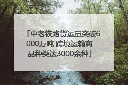 中老铁路货运量突破6000万吨 跨境运输商品种类达3000余种