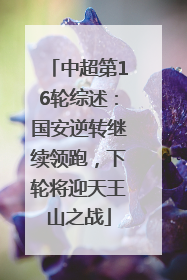 中超第16轮综述：国安逆转继续领跑，下轮将迎天王山之战