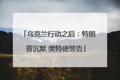 乌克兰行动之后：特朗普沉默 美特使警告