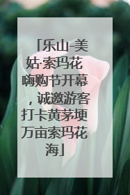 乐山-美姑·索玛花嗨购节开幕，诚邀游客打卡黄茅埂万亩索玛花海