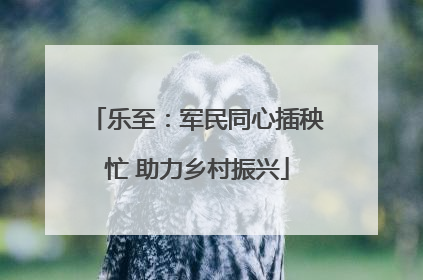 乐至：军民同心插秧忙 助力乡村振兴