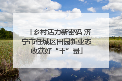 乡村活力新密码 济宁市任城区田园新业态收获好“丰”景