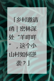 乡村邀请函｜密林深处“羊咩咩”，这个小山村如何逆袭？