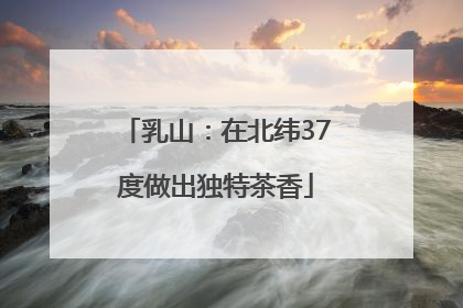 乳山：在北纬37度做出独特茶香