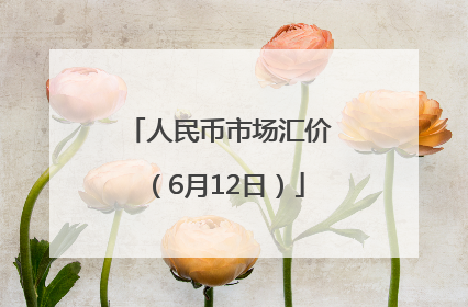 人民币市场汇价（6月12日）