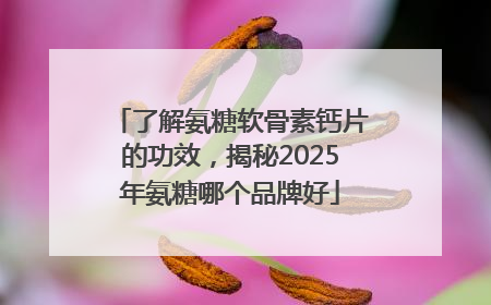 了解氨糖软骨素钙片的功效，揭秘2025年氨糖哪个品牌好