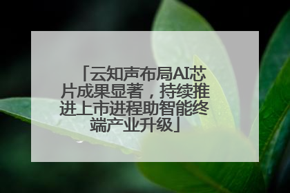 云知声布局AI芯片成果显著，持续推进上市进程助智能终端产业升级