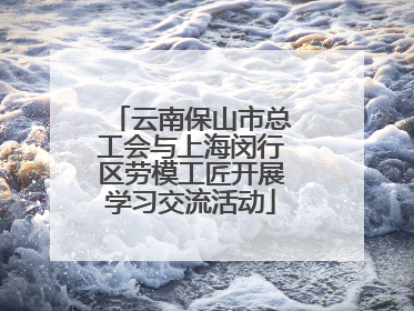 云南保山市总工会与上海闵行区劳模工匠开展学习交流活动
