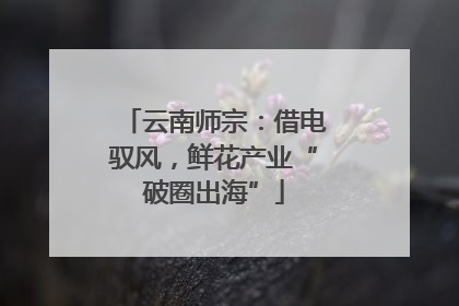 云南师宗：借电驭风，鲜花产业“破圈出海”