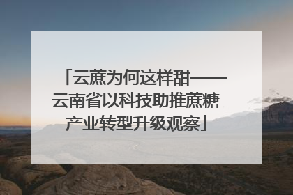 云蔗为何这样甜——云南省以科技助推蔗糖产业转型升级观察