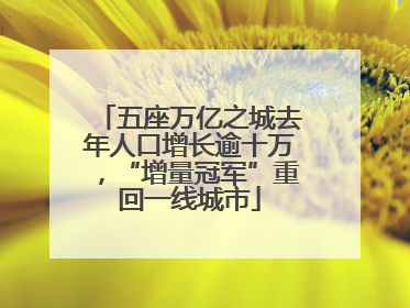 五座万亿之城去年人口增长逾十万，“增量冠军”重回一线城市