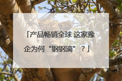 产品畅销全球 这家豫企为何“钢钢滴”？