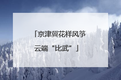 京津冀花样风筝云端“比武”