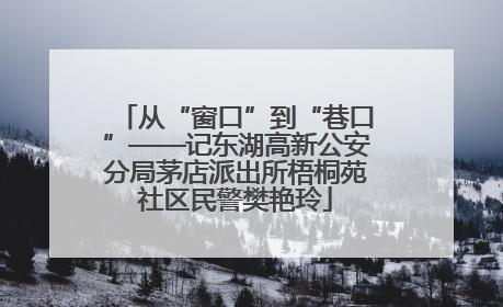 从“窗口”到“巷口”——记东湖高新公安分局茅店派出所梧桐苑社区民警樊艳玲