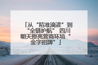从“精准滴灌”到“全链护航” 四川朝天擦亮营商环境“金字招牌”