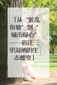 从“脏乱鱼塘”到“城市绿心”——宿迁三里湿地的生态蝶变