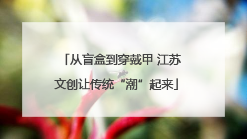 从盲盒到穿戴甲 江苏文创让传统“潮”起来