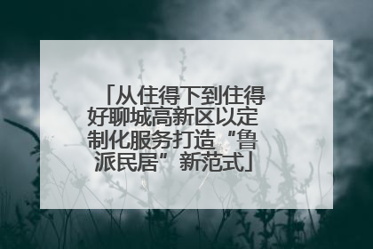 从住得下到住得好聊城高新区以定制化服务打造“鲁派民居”新范式