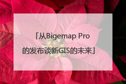 从Bigemap Pro的发布谈新GIS的未来