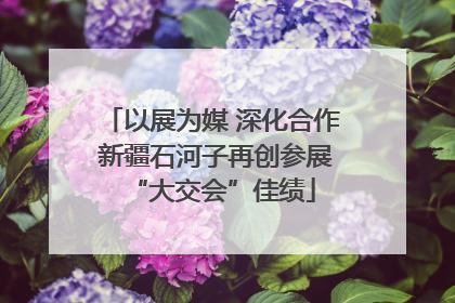 以展为媒 深化合作 新疆石河子再创参展“大交会”佳绩