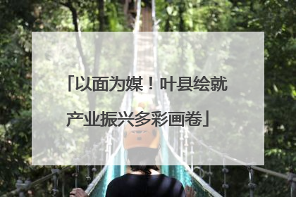 以面为媒！叶县绘就产业振兴多彩画卷