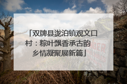双牌县泷泊镇观文口村：粽叶飘香承古韵 乡情凝聚展新篇