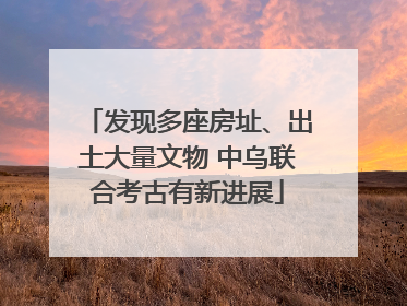 发现多座房址、出土大量文物 中乌联合考古有新进展