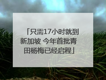 只需17小时就到新加坡 今年首批青田杨梅已经启程
