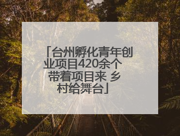台州孵化青年创业项目420余个 带着项目来 乡村给舞台