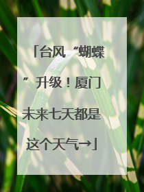 台风“蝴蝶”升级！厦门未来七天都是这个天气→