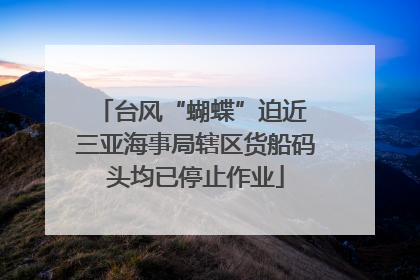 台风“蝴蝶”迫近 三亚海事局辖区货船码头均已停止作业