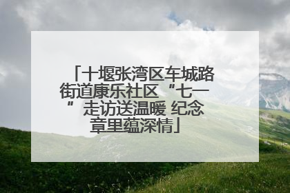 十堰张湾区车城路街道康乐社区“七一”走访送温暖 纪念章里蕴深情