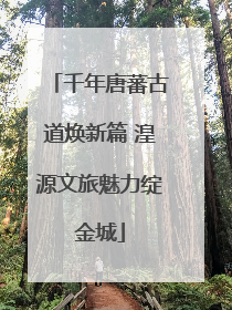 千年唐蕃古道焕新篇 湟源文旅魅力绽金城