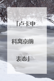 卢卡申科离京前表态