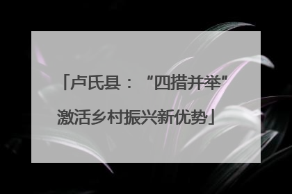 卢氏县：“四措并举”激活乡村振兴新优势